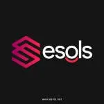 Esols Ecommerce Solution company icon